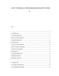 2025中國民航無人機(jī)貨運航線商業(yè)化運營可行性報告