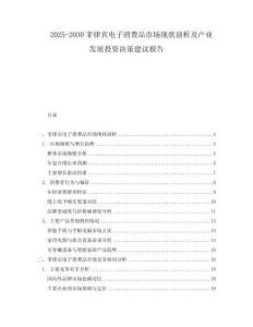 2025-2030菲律賓電子消費(fèi)品市場現(xiàn)狀剖析及產(chǎn)業(yè)發(fā)展投資決策建議報告