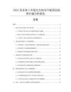 2025及未来5年哑光五档毛巾架项目投资价值分析报告