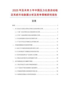 2025年及未來5年中國壓力儀表自動檢定系統(tǒng)市場數(shù)據(jù)分析及競爭策略研究報告