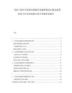 2025-2030北美清潔能源企業(yè)融資情況掃描及政策扶持與行業(yè)發(fā)展?jié)摿C合考察評(píng)估報(bào)告