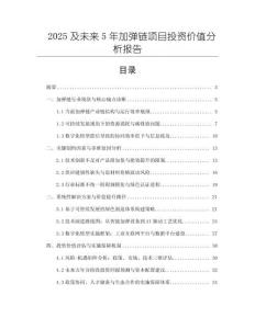 2025及未來5年加彈鏈項目投資價值分析報告