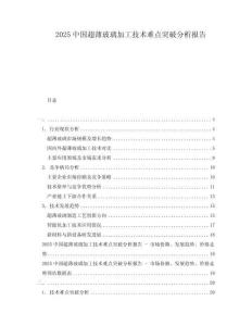 2025中國超薄玻璃加工技術(shù)難點突破分析報告