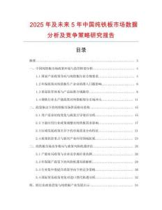 2025年及未來5年中國純鐵板市場(chǎng)數(shù)據(jù)分析及競(jìng)爭(zhēng)策略研究報(bào)告