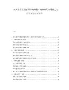 航天器衛(wèi)星遙感圖像處理技術(shù)商業(yè)應(yīng)用市場(chǎng)潛力與投資規(guī)劃分析報(bào)告
