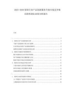 2025-2030保险行业产品创新服务升级市场竞争格局销售团队业绩分析报告
