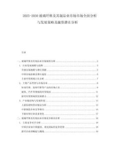 2025-2030玻璃纖維及其制品業市場市場全面分析與發展策略及融資潛在分析