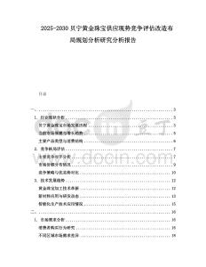 2025-2030貝寧黃金珠寶供應現勢競爭評估改造布局規劃分析研究分析報告