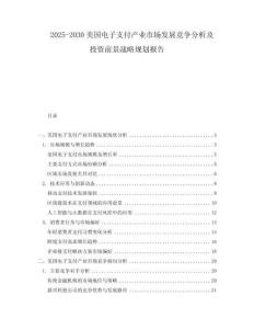 2025-2030美国电子支付产业市场发展竞争分析及投资前景战略规划报告