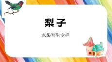 《梨子》美术教育PPT绘画课件创意教程教案
