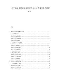 航空運輸業(yè)發(fā)展瓶頸研究及企業(yè)運營效率提升路徑報告
