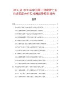 2025至2030年中國黑白顯像管行業(yè)市場深度分析及發(fā)展前景預(yù)測報告