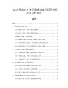 2025及未来5年后悬挂防塞杆项目投资价值分析报告