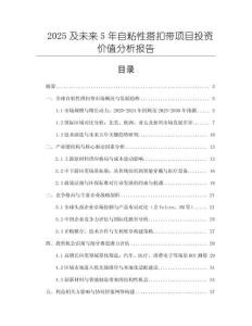 2025及未來5年自粘性搭扣帶項目投資價值分析報告