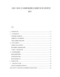 2025-2030公司戰(zhàn)略規(guī)劃略方案操作業(yè)務(wù)分析研究報(bào)告