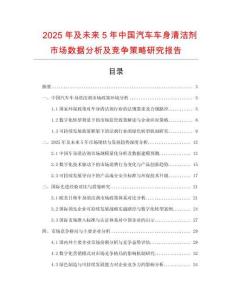 2025年及未来5年中国汽车车身清洁剂市场数据分析及竞争策略研究报告