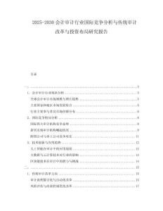 2025-2030会计审计行业国际竞争分析与传统审计改革与投资布局研究报告