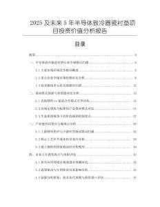 2025及未來5年半導體致冷器瓷襯墊項目投資價值分析報告