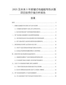 2025及未來5年按鍵式電磁超導(dǎo)熱水器項(xiàng)目投資價值分析報告