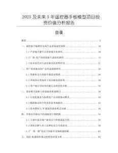 2025及未來5年遙控器手板模型項目投資價值分析報告