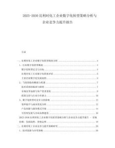 2025-2030比利時(shí)化工企業(yè)數(shù)字化轉(zhuǎn)型策略分析與企業(yè)競(jìng)爭(zhēng)力提升報(bào)告