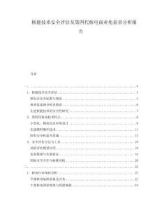 核能技術(shù)安全評(píng)估及第四代核電商業(yè)化前景分析報(bào)告