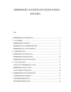核潛艇推進器行業(yè)市場供需分析及投資評估規(guī)劃分析研究報告