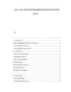 2025-2030蟒箔矯鉀鏘跋橄癬痩炬騖瘴規劃發展研究報告