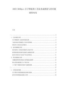 2025-2030pcv分子篩裝填工藝技術成熟度與供應鏈投資布局