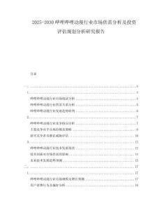 2025-2030嗶哩嗶哩動(dòng)漫行業(yè)市場(chǎng)供需分析及投資評(píng)估規(guī)劃分析研究報(bào)告