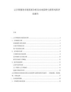 云計(jì)算服務(wù)市場(chǎng)發(fā)展分析及未來(lái)趨勢(shì)與投資風(fēng)險(xiǎn)評(píng)估報(bào)告