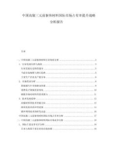 中國(guó)高鎳三元前驅(qū)體材料國(guó)際市場(chǎng)占有率提升戰(zhàn)略分析報(bào)告