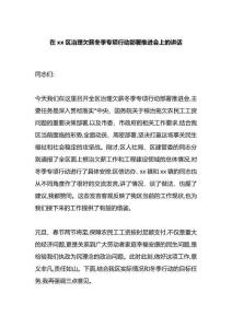 在区治理欠薪冬季专项行动部署推进会上的讲话