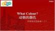 外研社多維閱讀預(yù)備級(jí)（上）-11-What Colour？