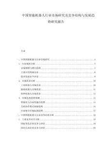 中國智能機(jī)器人行業(yè)市場研究及競爭結(jié)構(gòu)與發(fā)展趨勢(shì)研究報(bào)告