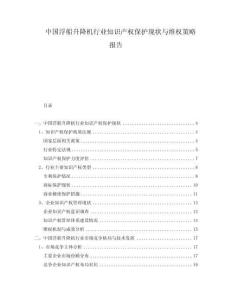 中國浮船升降機(jī)行業(yè)知識產(chǎn)權(quán)保護(hù)現(xiàn)狀與維權(quán)策略報告