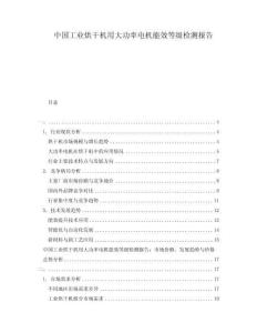 中国工业烘干机用大功率电机能效等级检测报告