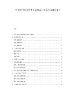 中國廚電行業(yè)消費信貸模式與市場拉動效應(yīng)報告