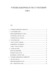 中國設(shè)施農(nóng)業(yè)蔬菜種植技術(shù)升級與產(chǎn)業(yè)轉(zhuǎn)型戰(zhàn)略研究報(bào)告