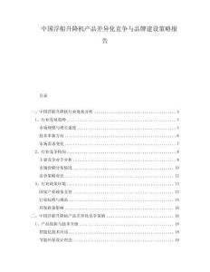 中國浮船升降機產品差異化競爭與品牌建設策略報告