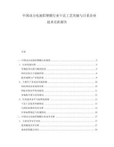 中国动力电池铝塑膜行业干法工艺突破与日系企业技术差距报告