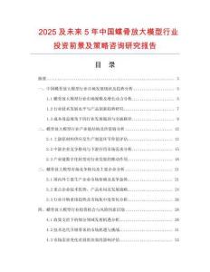 2025及未來5年中國蝶骨放大模型行業(yè)投資前景及策略咨詢研究報告