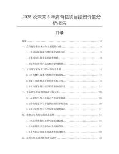 2025及未來(lái)5年肩背包項(xiàng)目投資價(jià)值分析報(bào)告