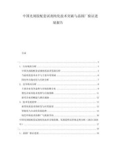 中国光刻胶配套试剂纯化技术突破与晶圆厂验证进展报告