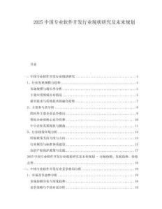 2025中国专业软件开发行业现状研究及未来规划