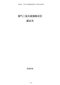 煙氣二氧化碳捕集項目建議書