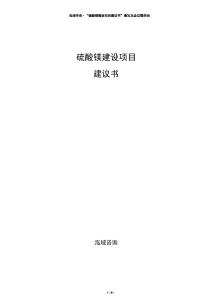 硫酸鎂建設(shè)項目建議書