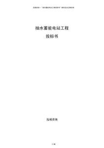 抽水蓄能电站工程投标书