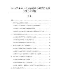 2025及未來5年加長花桿抄網(wǎng)項目投資價值分析報告