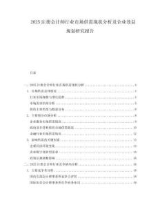 2025注冊會計師行業(yè)市場供需現(xiàn)狀分析及企業(yè)效益規(guī)劃研究報告